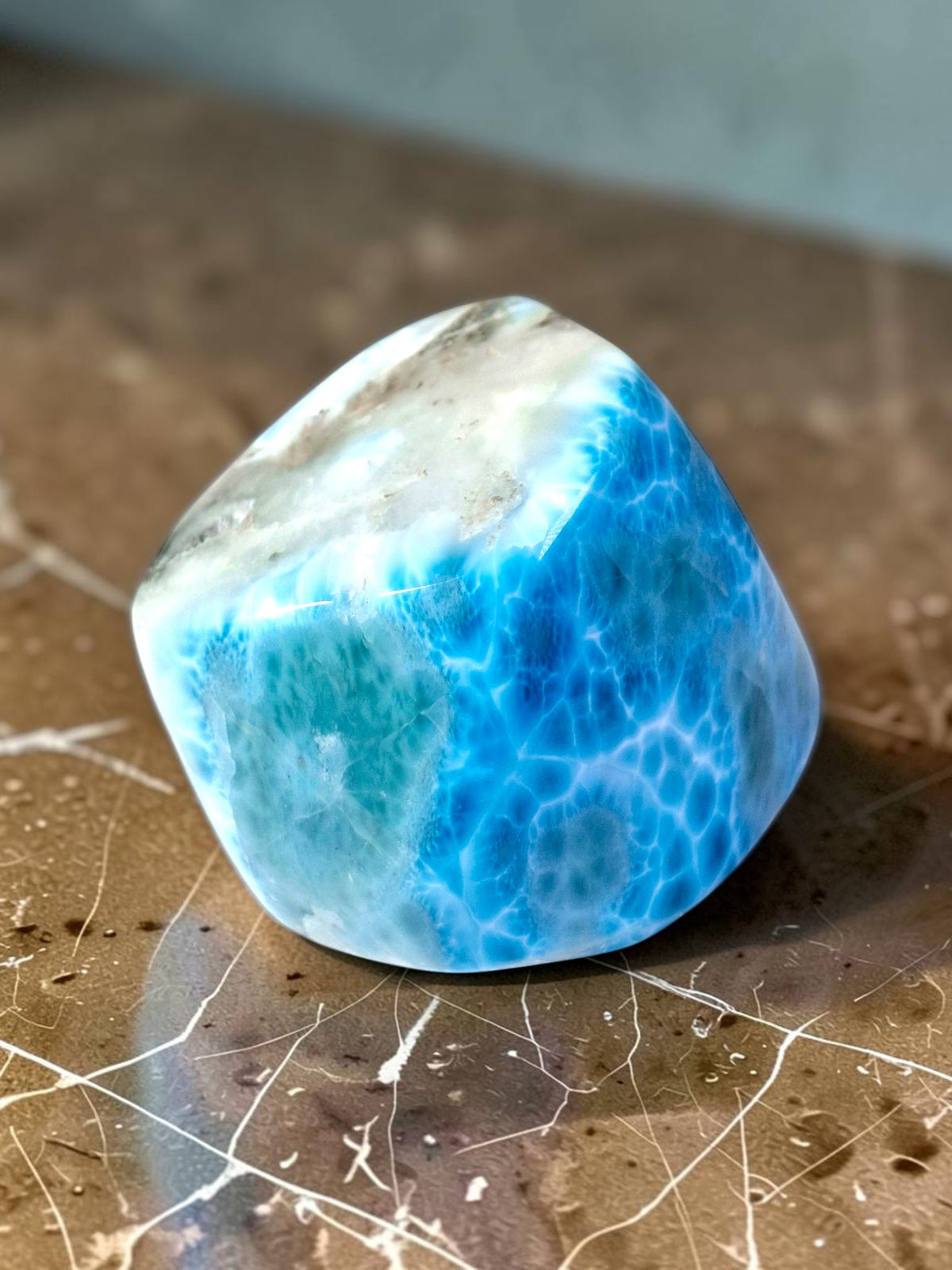 820 g Spécimen de pierre de larimar naturelle polie bleue foncée dominicaine de guérison